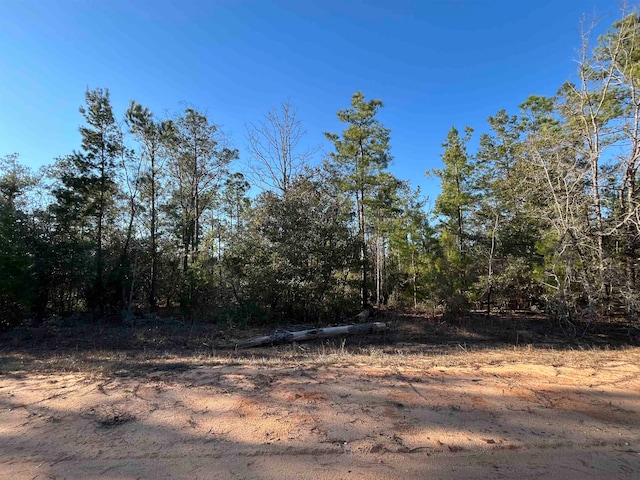 Deshutes Dr, Alford FL, 32420 land for sale