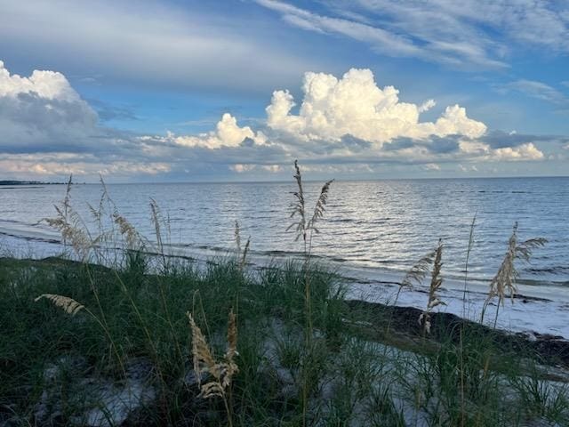 301 Summerbreeze Ln, Saint Teresa, FL 32358 - photo 6