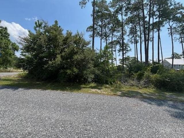 301 Summerbreeze Ln, Saint Teresa, FL 32358 - photo 3