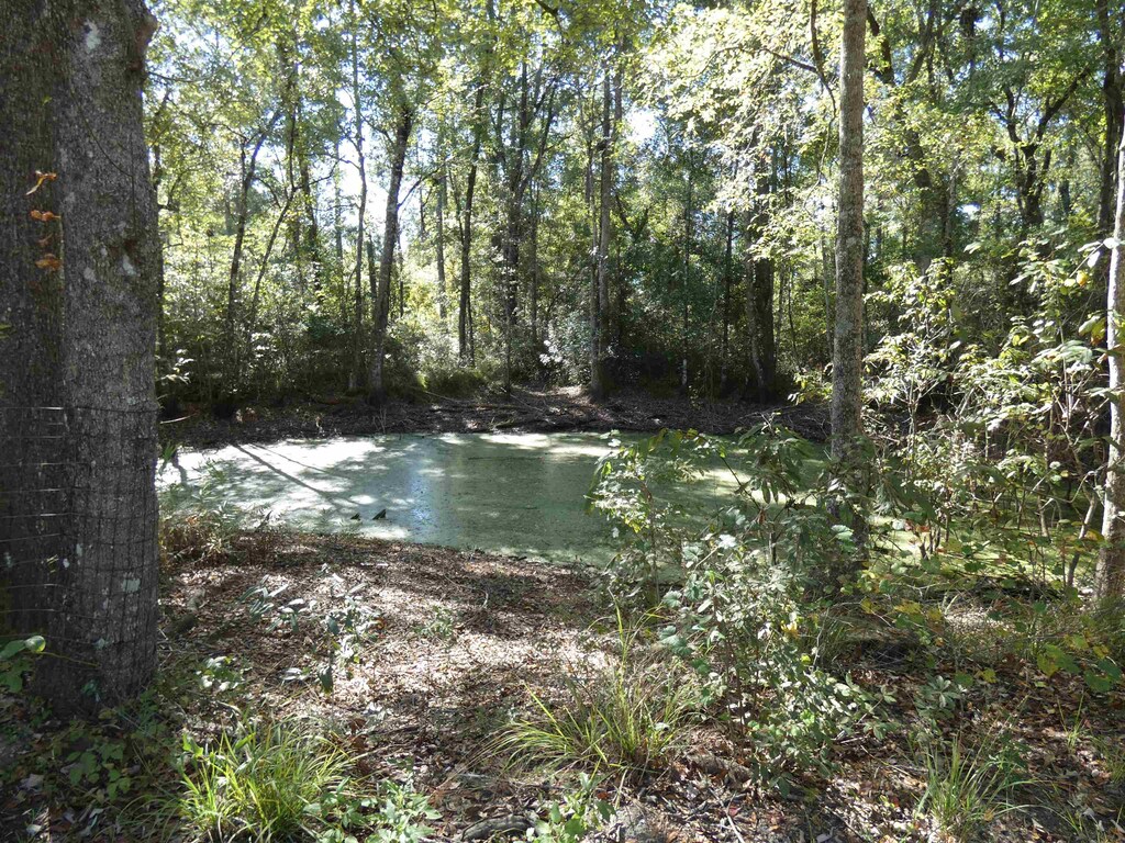 TBD Namon Spears Rd, Crawfordville, FL 32327 - photo 1