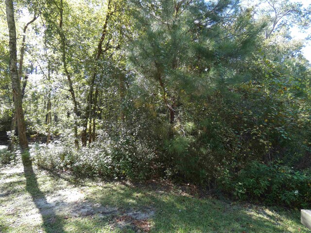 TBD Namon Spears Rd, Crawfordville, FL 32327 - photo 4