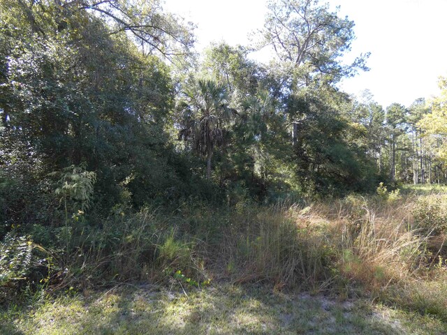 TBD Namon Spears Rd, Crawfordville, FL 32327 - photo 3