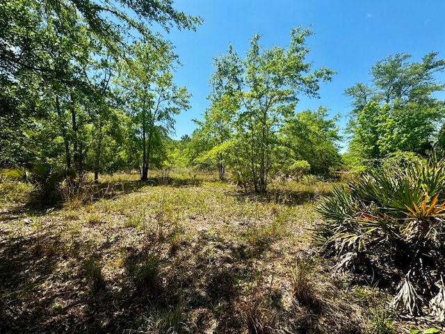 Listing photo 2 for Vacant 62 Road, Lamont FL 32336