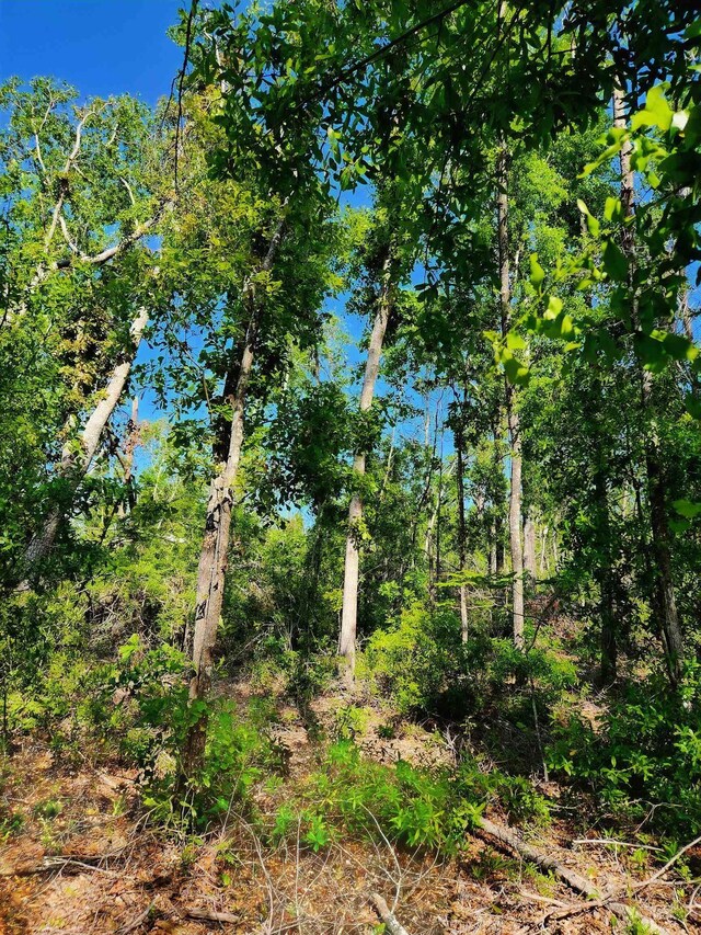 LOT14 NW Champion Oak Blvd, Jennings, FL 32053 - photo 7