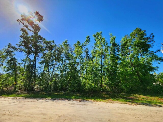 LOT14 NW Champion Oak Blvd, Jennings, FL 32053 - photo 3