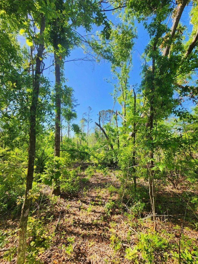 LOT14 NW Champion Oak Blvd, Jennings, FL 32053 - photo 6