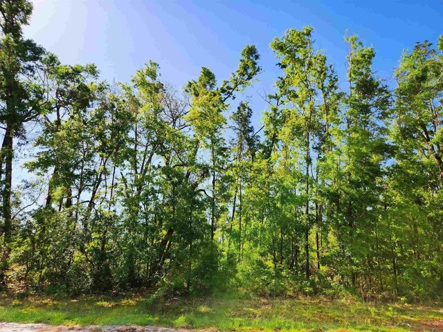 LOT14 NW Champion Oak Blvd, Jennings, FL 32053 - photo 1