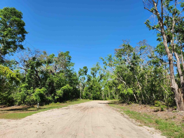 LOT14 NW Champion Oak Blvd, Jennings, FL 32053 - photo 11