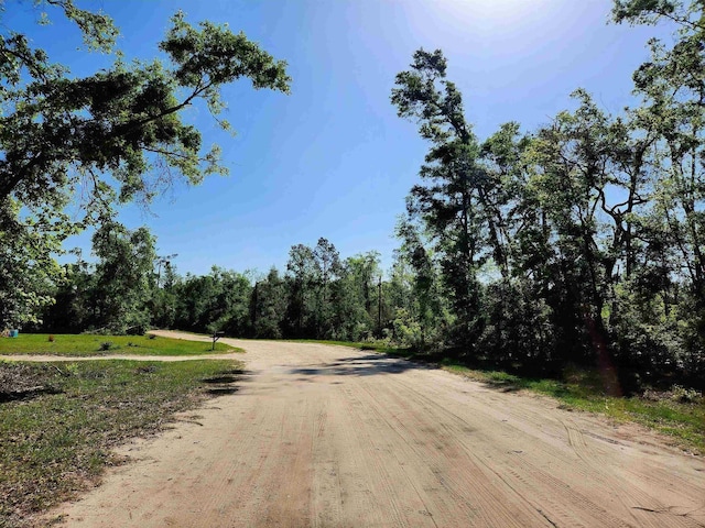LOT14 NW Champion Oak Blvd, Jennings, FL 32053 - photo 12