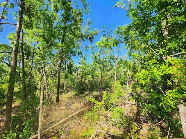 LOT14 NW Champion Oak Blvd, Jennings, FL 32053 - photo 18