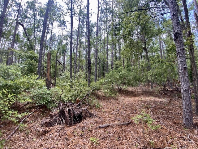 VACANT NE Old Blue Springs Rd, Lee, FL 32059 - photo 11