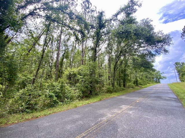 VACANT NE Old Blue Springs Rd, Lee, FL 32059 - photo 1