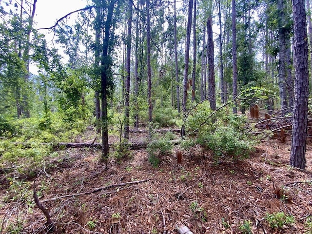 VACANT NE Old Blue Springs Rd, Lee, FL 32059 - photo 15