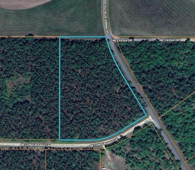 VACANT NE Old Blue Springs Rd, Lee, FL 32059 - photo 2