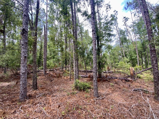 VACANT NE Old Blue Springs Rd, Lee, FL 32059 - photo 10