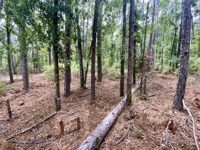 VACANT NE Old Blue Springs Rd, Lee, FL 32059 - photo 14
