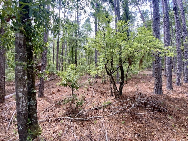 VACANT NE Old Blue Springs Rd, Lee, FL 32059 - photo 13