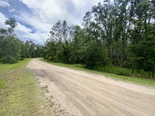VACANT NE Old Blue Springs Rd, Lee, FL 32059 - photo 3