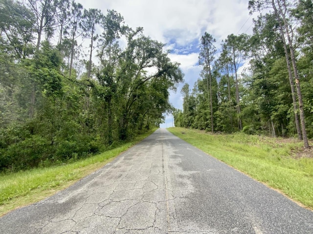 VACANT NE Old Blue Springs Rd, Lee, FL 32059 - photo 16