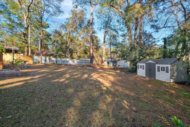 view of yard with a storage unit