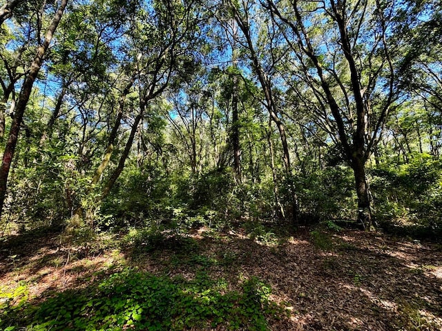 00 NW Little Cat Rd, Madison FL, 32340 land for sale