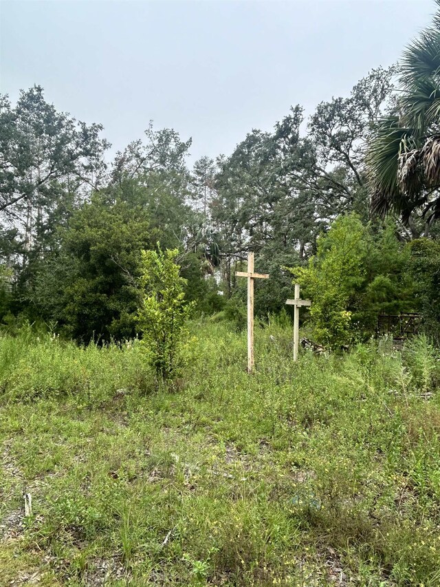 15708 Sea Eagle Dr, Perry, FL 32348
