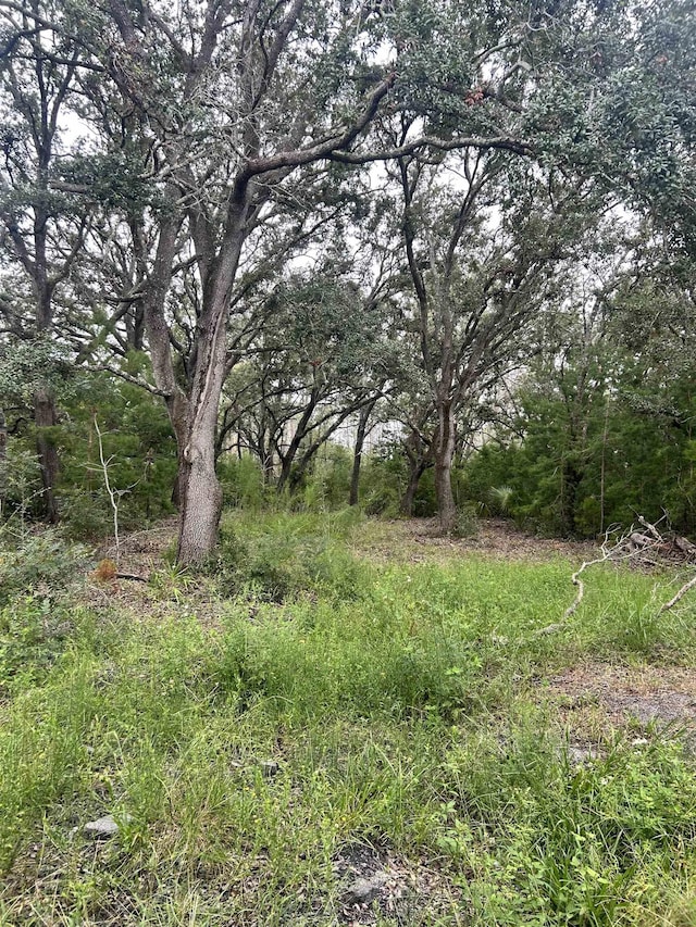 15708 Sea Eagle Dr, Perry, FL 32348