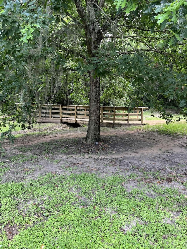 1045 Martin St, Tallahassee, FL 32303 - view of yard