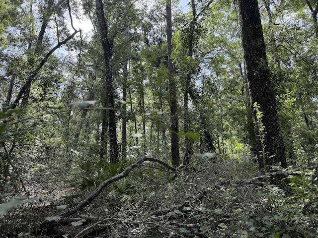 Running Springs Dr, Live Oak, FL 32060