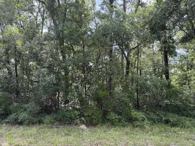 Running Springs Dr, Live Oak, FL 32060