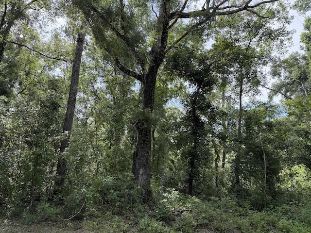 Running Springs Dr, Live Oak, FL 32060