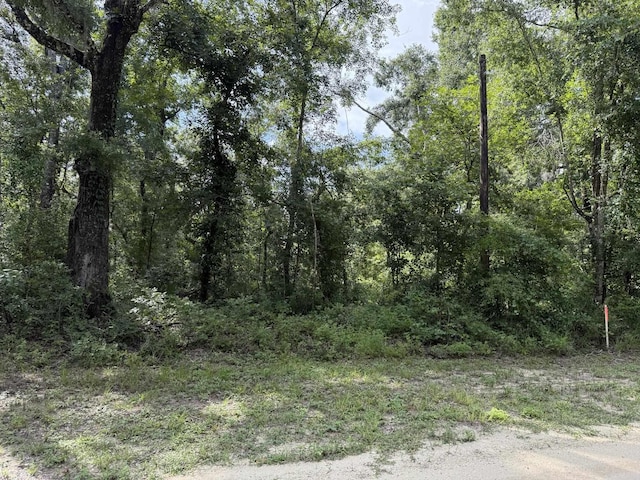 Running Springs Dr, Live Oak, FL 32060