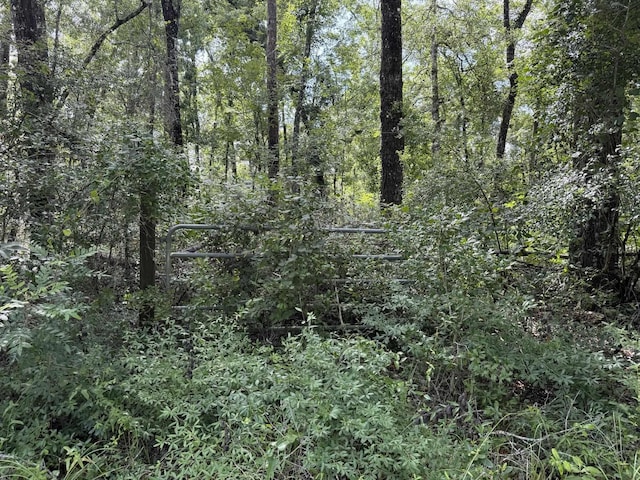 Running Springs Dr, Live Oak, FL 32060