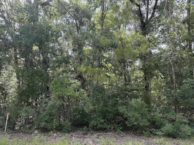 Running Springs Dr, Live Oak, FL 32060