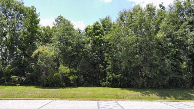 XX NW County Road 12, Bristol, FL 32321