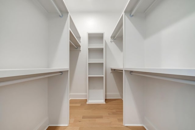 1261 N Duval St, Tallahassee, FL 32303 - spacious closet with light wood-style floors