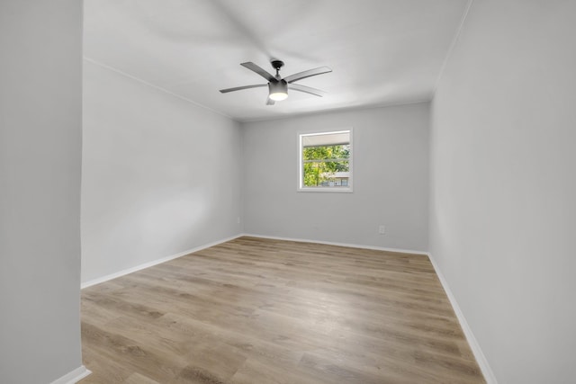 319 Meadowbrook Ln, Tallahassee, FL 32304 - photo 12