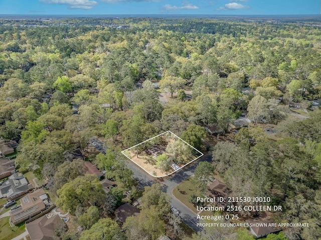 bird's eye view with a view of trees