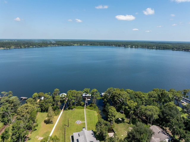 1787 NE Cherry Lake Cir, Madison, FL 32340 - photo 51