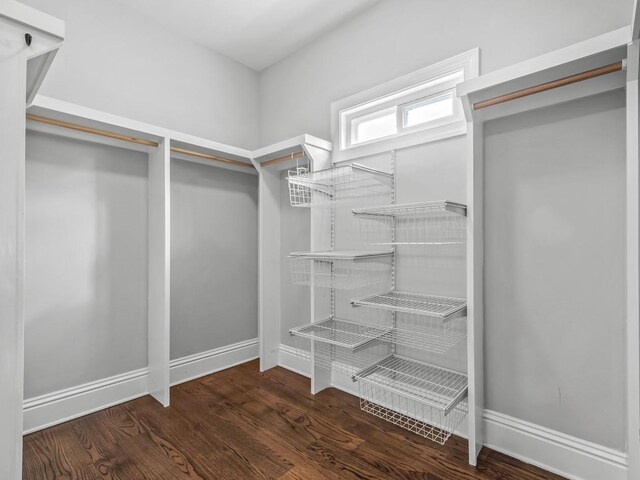 spacious closet featuring wood finished floors