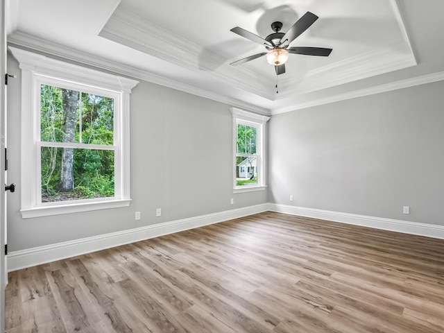 spare room with a raised ceiling, plenty of natural light, and ornamental molding