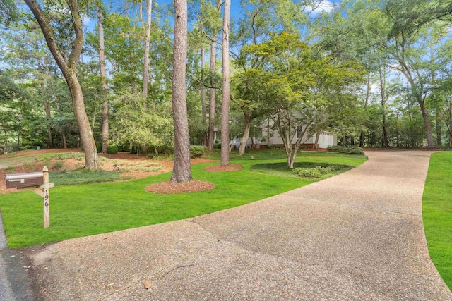 1961 Chatsworth Way, Tallahassee, FL 32309 - view of home's community with a yard