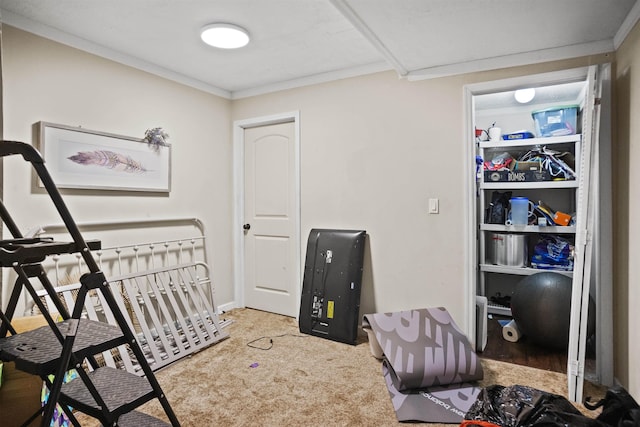 bedroom featuring crown molding and carpet flooring