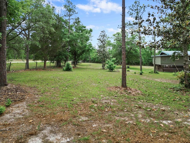 view of yard