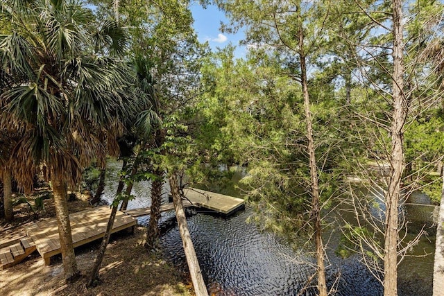 view of dock with a water view