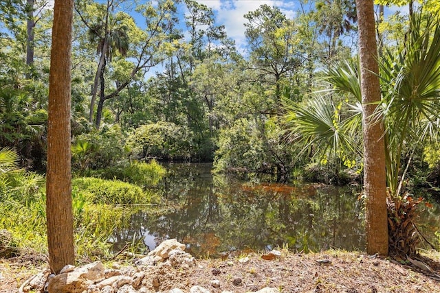 view of landscape featuring a water view