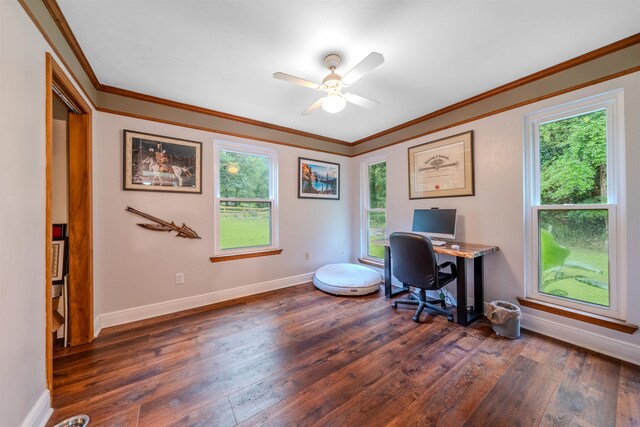 341 Beaver Lake Rd, Tallahassee, FL 32312 - photo 30