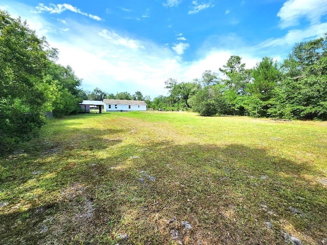 22715 NE Beagle Dr, Hosford, FL 32334 - photo 3