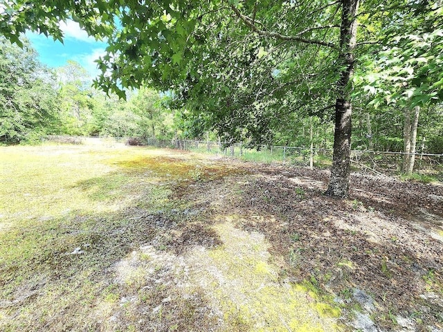 22715 NE Beagle Dr, Hosford, FL 32334 - photo 5