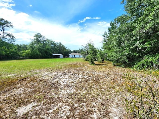 22715 NE Beagle Dr, Hosford, FL 32334 - photo 6